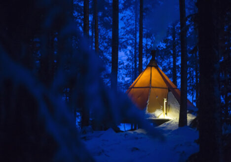 your room in the wild at aurora safari camp