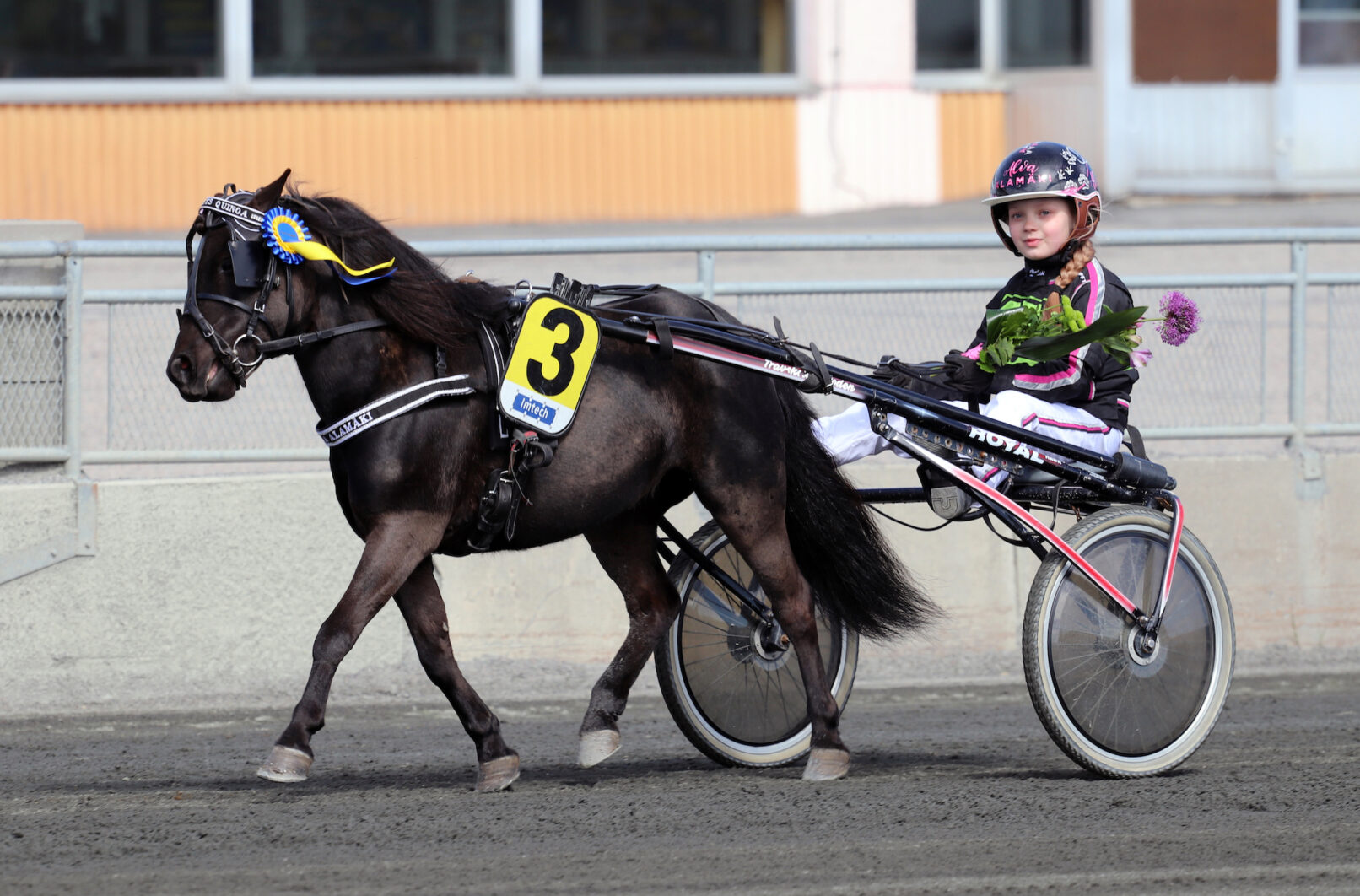 Bodentravet5 foto Carina Olofsson