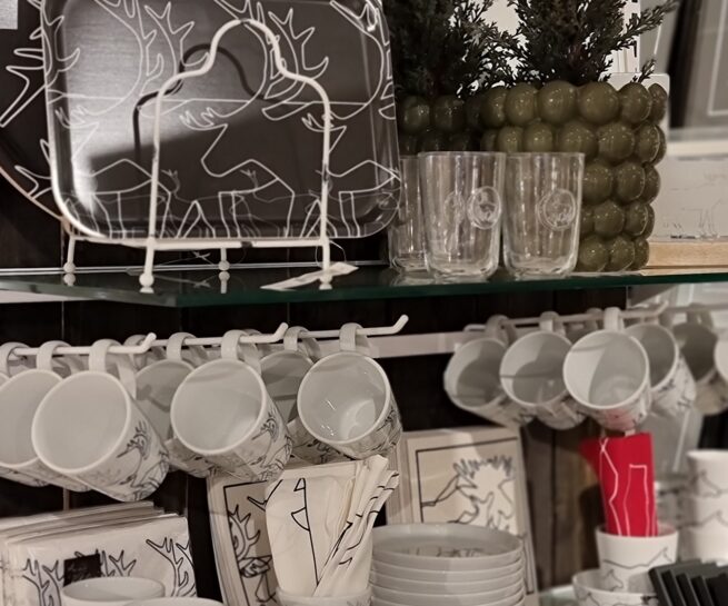 275375863 4958443810916545 100310420544463777 n e1680073510215