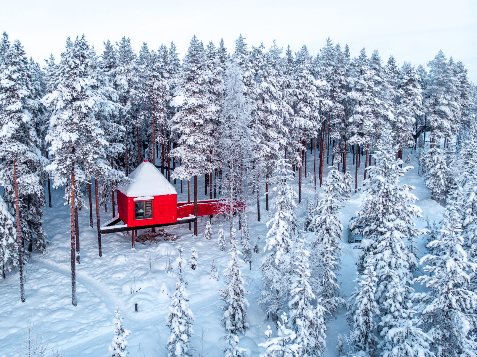 Blue cone Foto Jesper Matti