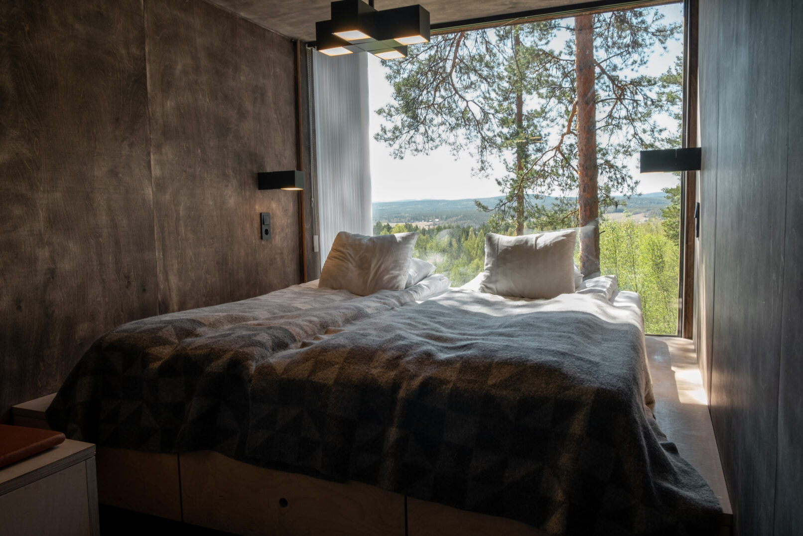 Dragonfly Foto JesperMatti