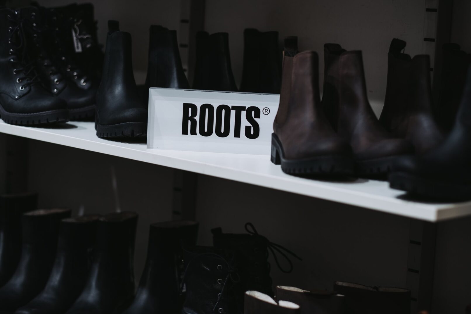 308794733 1076657726508383 3281042376753658034 n e1680072989201