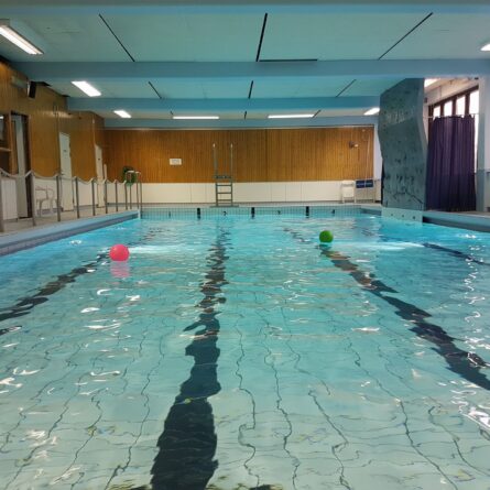 15936844 1365890840144724 7247554713721875233 o