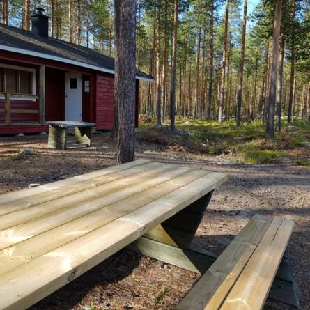 61474810 2195438687171100 6679040428680937472 n