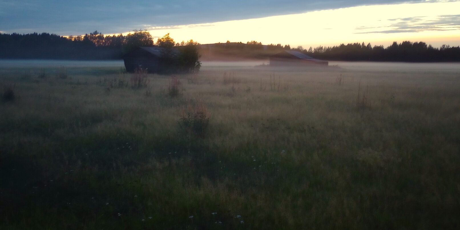 IMG 20230830 204416225