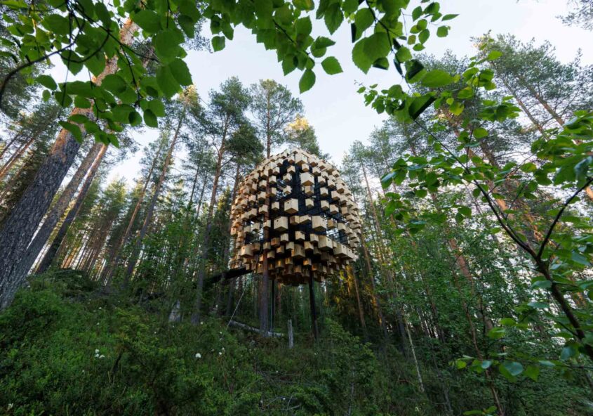 Corporation Treehotel Commercial